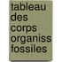 Tableau Des Corps Organiss Fossiles