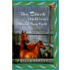 The Black Stallion's Blood Bay Colt