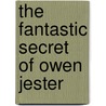 The Fantastic Secret of Owen Jester door Barbara O'Connor