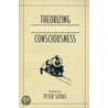 Theorizing Historical Consciousness by Peter Seixas