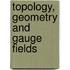 Topology, Geometry And Gauge Fields