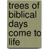 Trees Of Biblical Days Come To Life