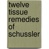 Twelve Tissue Remedies of Schussler door Willis Alonzo Dewey