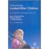 Understanding Looked After Children door Suzanne McCall