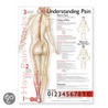 Understanding Pain Anatomical Chart by Anatomical Chart Company