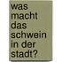 Was macht das Schwein in der Stadt?