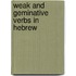 Weak and Geminative Verbs in Hebrew