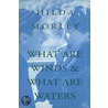 What Are Winds And What Are Waters? door Hilda Morley