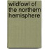 Wildfowl Of The Northern Hemisphere