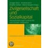 Zivilgesellschaft und Sozialkapital