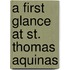 A First Glance At St. Thomas Aquinas