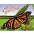 Asi Nace Una Mariposa (Starting Life