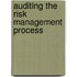 Auditing The Risk Management Process