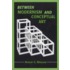 Between Modernism And Conceptual Art
