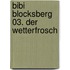 Bibi Blocksberg 03. Der Wetterfrosch