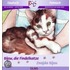 Bijou, die Findelkatze /Znajda Bijou