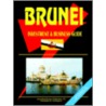 Brunei Investment and Business Guide by Unknown