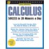 Calculus Success in 20 Minutes a Day