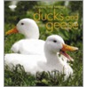 Choosing And Keeping Ducks And Geese door Liz Wright