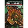 Die Großpilze Baden-Württembergs 1 by Unknown