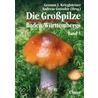 Die Großpilze Baden-Württembergs 5 by German J. Krieglsteiner