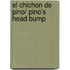 El chichon de Pino/ Pino's Head Bump