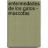 Enfermedades de Los Gatos - Mascotas