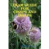 Exam Guide For Cissp(R) And Issap(R) by Thomas Chen