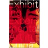 Exhibiting Experimental Art In China door Wu Hung
