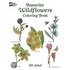 Favourite Wildflowers Colouring Book