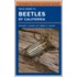 Field Guide to Beetles of California