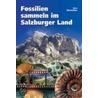 Fossilien sammeln im Salzburger Land by Gero Moosleitner