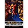 Gay Voices Of The Harlem Renaissance door A.B. Christa Schwarz