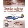 Grandes Aviones de Combate del Mundo by Roberta Jackson