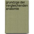 Grundzge Der Vergleichenden Anatomie