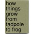 How Things Grow From Tadpole To Frog