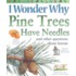 I Wonder Why Pine Trees Have Needles