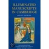Illuminated Manuscripts In Cambridge door Nigel J. Morgan