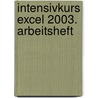 Intensivkurs Excel 2003. Arbeitsheft by Michael Götz