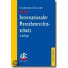 Internationaler Menschenrechtsschutz door Theodor Schilling