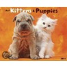 Just Kittens & Puppies 2011 Calendar door Onbekend