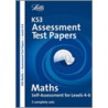 Ks3 Assessment Test Papers Maths 4-6 door Onbekend