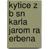 Kytice Z B Sn  Karla Jarom Ra Erbena