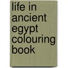Life In Ancient Egypt Colouring Book door Stanley Appelbaum