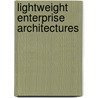 Lightweight Enterprise Architectures door Fenix Theuerkorn