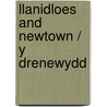 Llanidloes And Newtown / Y Drenewydd door Ordnance Survey