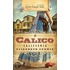 Love Finds You in Calico, California