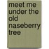 Meet Me Under The Old Naseberry Tree