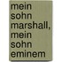 Mein Sohn Marshall, mein Sohn Eminem
