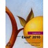 Microsoft Office Excel 2010 Complete